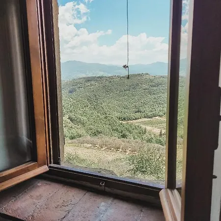 Il Carpineto