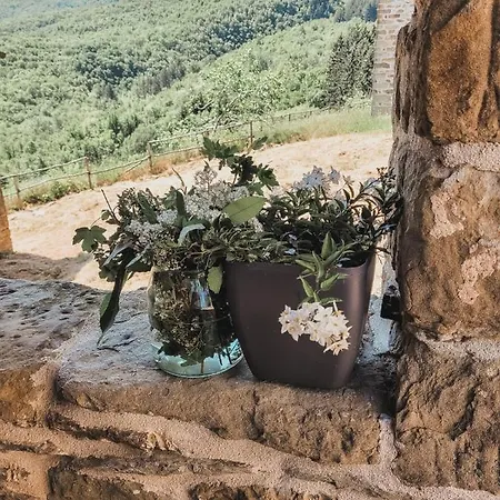 Il Carpineto