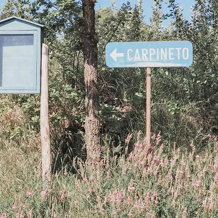 Il Carpineto Poppi